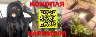 гашик Свободный