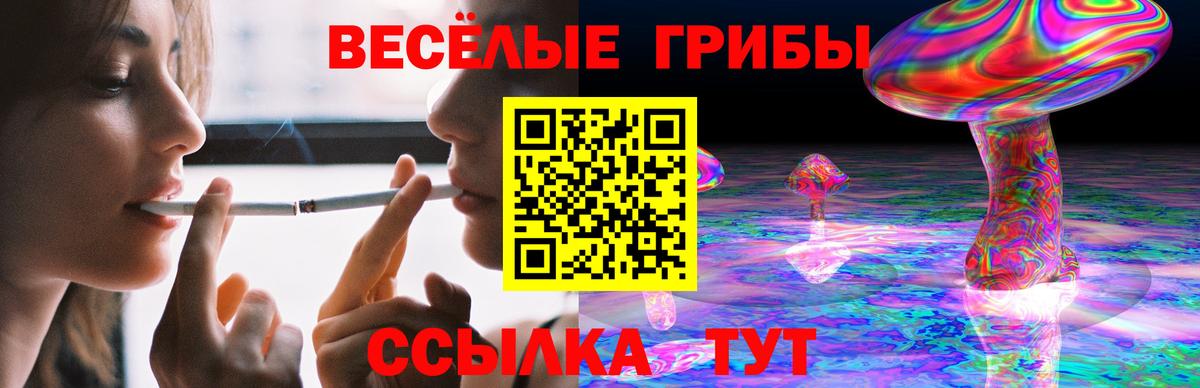 Подольск  Псилоцибиновые грибы ЛСД  Вход с VPN 